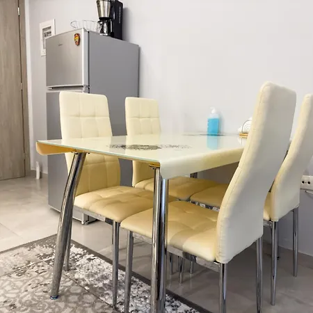 Contemporary & Spacious Renovated Apartment, Dt Syntagma, /touristic Area