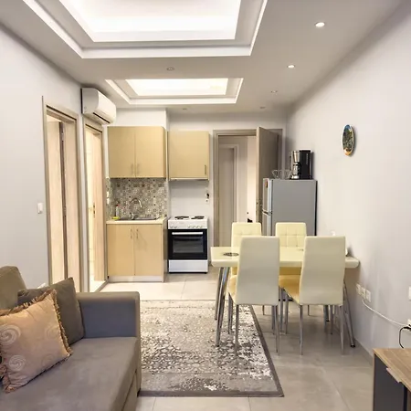Contemporary & Spacious Renovated Apartment, Dt Syntagma, /touristic Area Athens